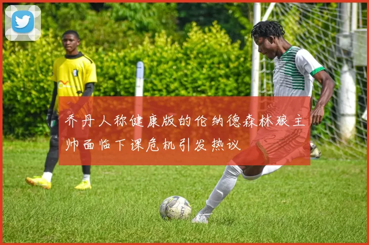 乔丹人称健康版的伦纳德森林狼主帅面临下课危机引发热议